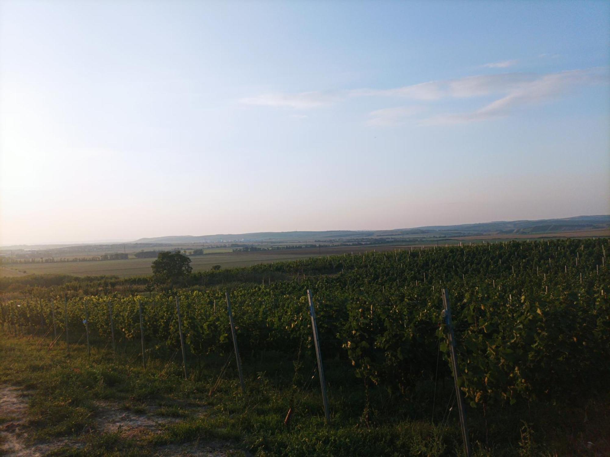 Ubytovani U Leose Заечи Экстерьер фото